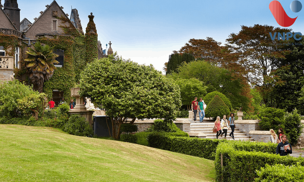 Kinh 888 nhà cái trường Swansea University: Điều kiện, chi phí và King88 ưu đãi hấp dẫn mỗi ngày